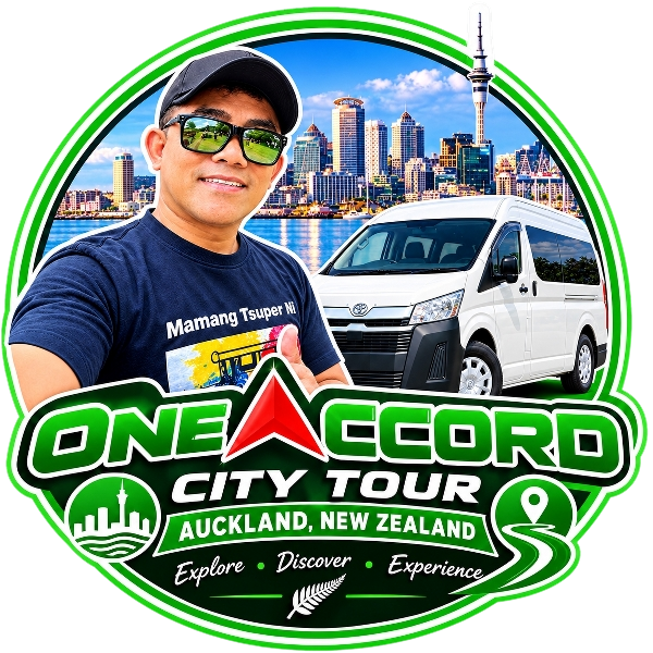 City Tour
